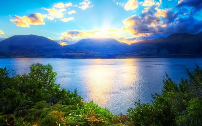 网络化高效